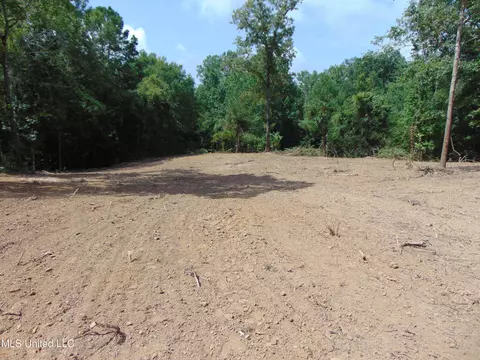 1015 Tarver Ln, Wesson, MS 39191 photo 14