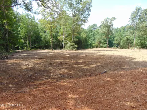 1015 Tarver Ln, Wesson, MS 39191 photo 3