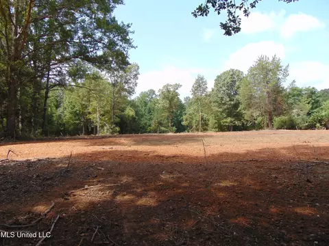 1015 Tarver Ln, Wesson, MS 39191 photo 9