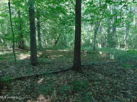 1015 Tarver Ln, Wesson, MS 39191 photo 18