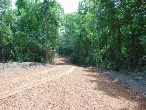 1015 Tarver Ln, Wesson, MS 39191 photo 15