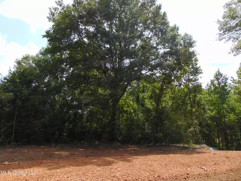1015 Tarver Ln, Wesson, MS 39191 photo 7
