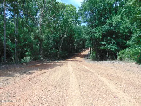 1015 Tarver Ln, Wesson, MS 39191 photo 16