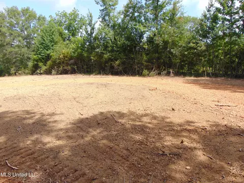 1015 Tarver Ln, Wesson, MS 39191 photo 6
