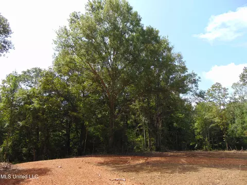 1015 Tarver Ln, Wesson, MS 39191 photo 8