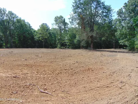 1015 Tarver Ln, Wesson, MS 39191 photo 12