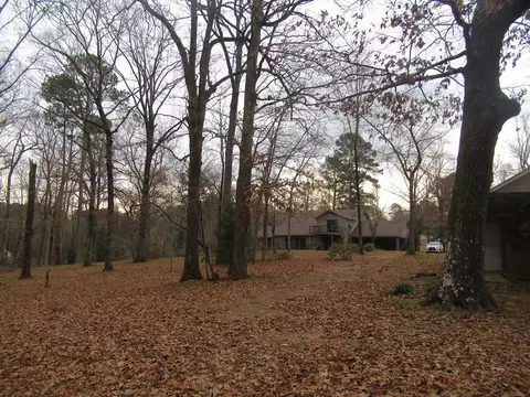 225 Trace Way, Natchez, MS 39120 photo 5