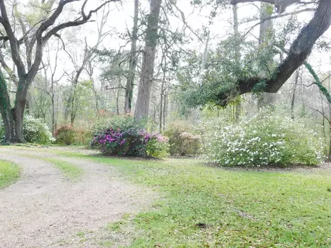 48 Powlett Rd, Natchez, MS 39120 photo 35