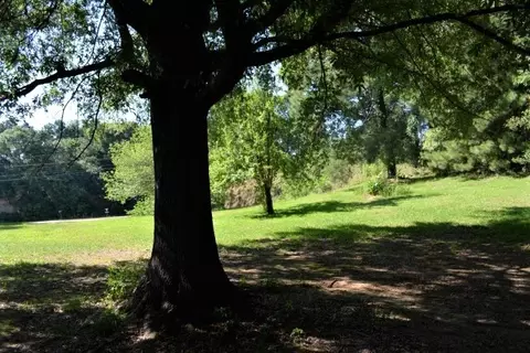 5 Greer, Natchez, MS 39120 photo 20