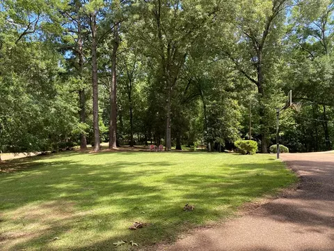86 Firetower Rd, Natchez, MS 39120 photo 5