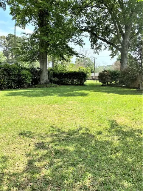1 Sun Ct, Natchez, MS 39120 photo 36