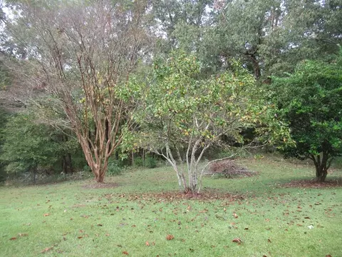 70 Aberdeen Rd, Natchez, MS 39120 photo 23