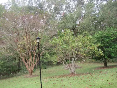 70 Aberdeen Rd, Natchez, MS 39120 photo 24