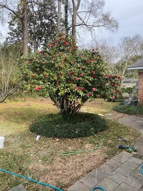 44 Oakhur St, Natchez, MS 39120 photo 17