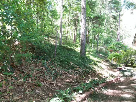 112 Overton Rd, Natchez, MS 39120 photo 8