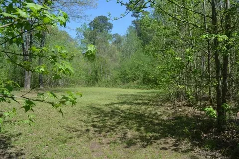 171 Cardinal, Natchez, MS 39120 photo 17
