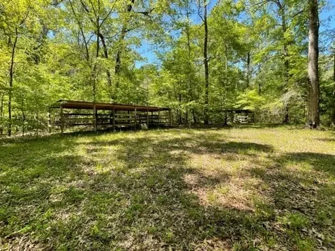 6 Gonzales Rd, Roxie, MS 39661 photo 35