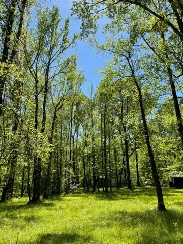 6 Gonzales Rd, Roxie, MS 39661 photo 27