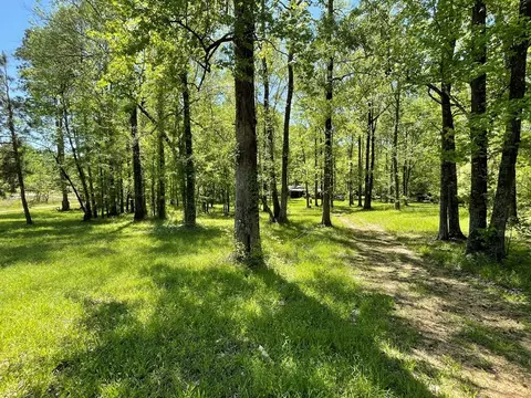 6 Gonzales Rd, Roxie, MS 39661 photo 32