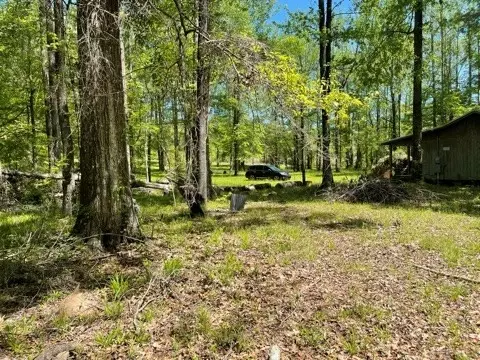 6 Gonzales Rd, Roxie, MS 39661 photo 37