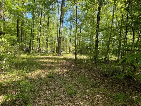 6 Gonzales Rd, Roxie, MS 39661 photo 36