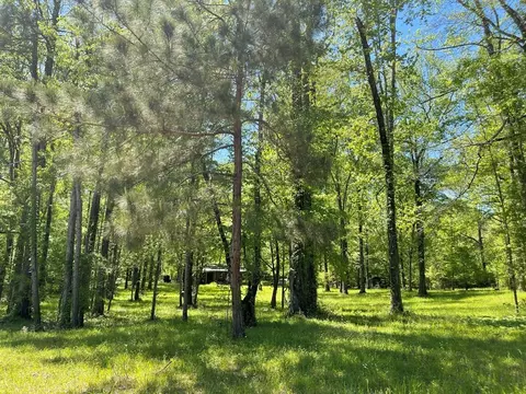 6 Gonzales Rd, Roxie, MS 39661 photo 31