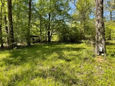 6 Gonzales Rd, Roxie, MS 39661 photo 33
