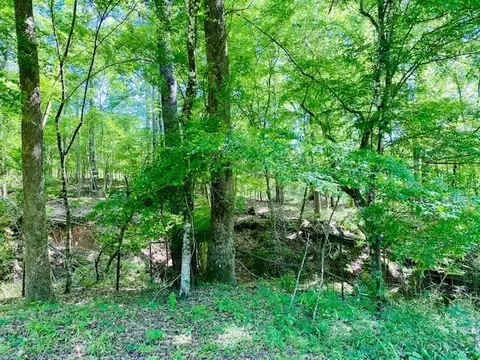 95 Roxie Rd, Roxie, MS 39661 photo 62