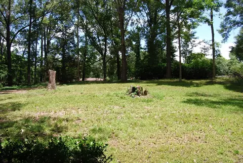 78 Firetower, Natchez, MS 39120 photo 11