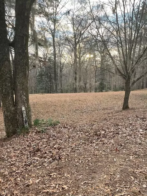 11 Aberdeen, Natchez, MS 39120 photo 35