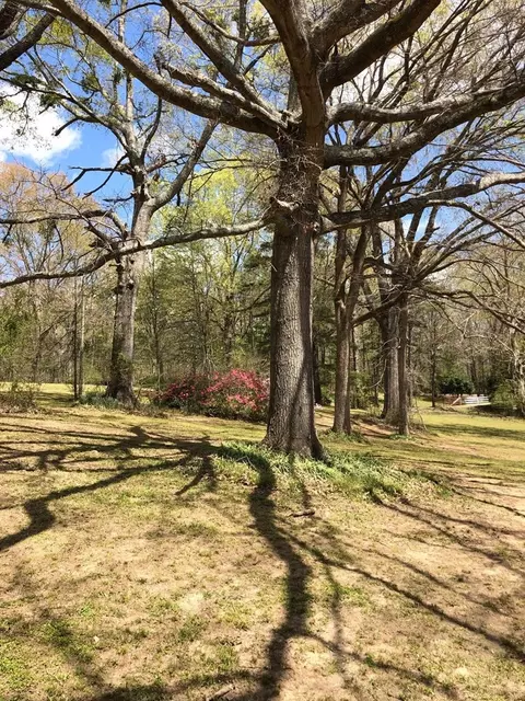 76 Artman Rd, Natchez, MS 39120 photo 10