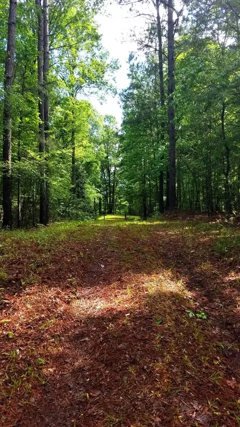 15 Carnegie, Roxie, MS 39661 photo 21