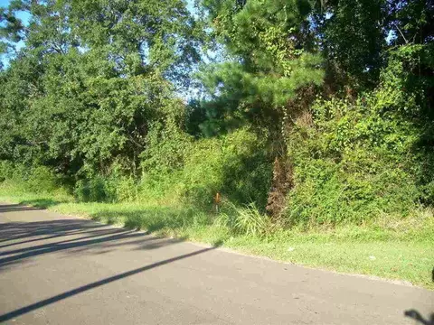 lot1 Old Hwy 33, Centreville, MS 39631