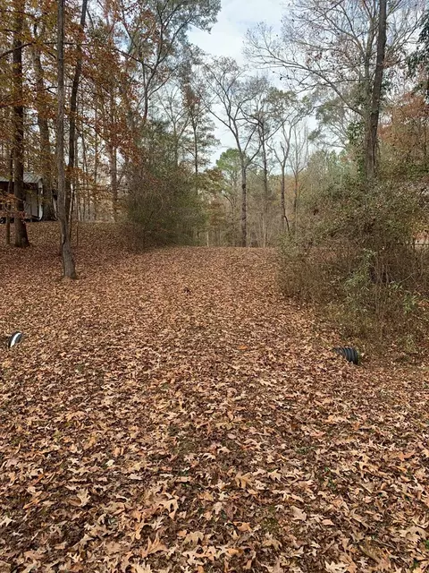 259 Slip Trl, Roxie, MS 39661 photo 36