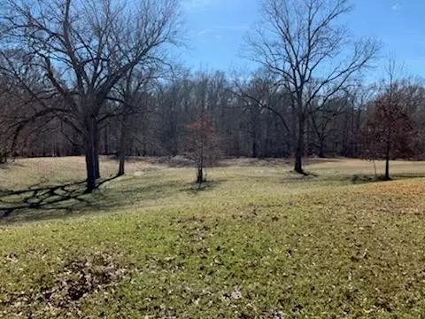 110 Selma Estate Rd, Natchez, MS 39120 photo 44