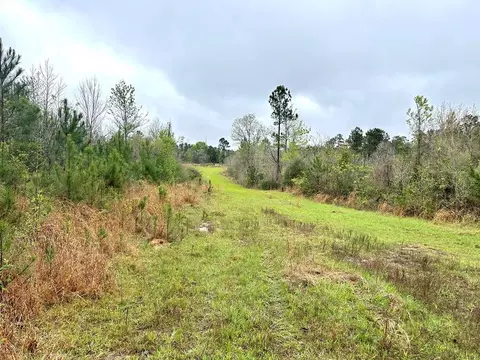00 Coons Mill Rd, Woodville, MS 39669