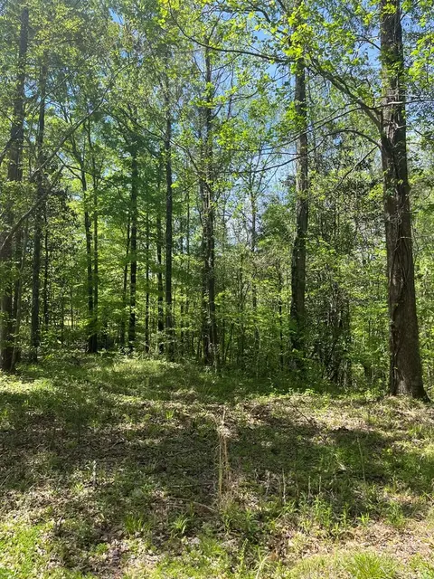 13 Shadyhaven Rd, Roxie, MS 39661 photo 9
