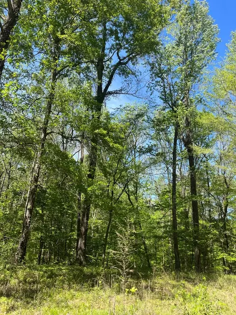 13 Shadyhaven Rd, Roxie, MS 39661 photo 8