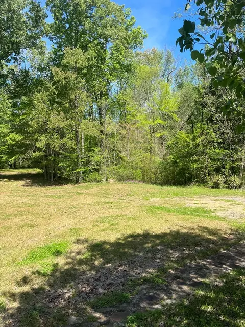13 Shadyhaven Rd, Roxie, MS 39661 photo 4