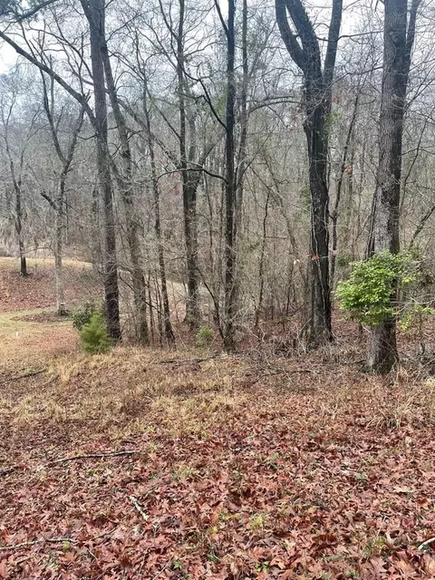 36 Beane Dr, Natchez, MS 39120 photo 3