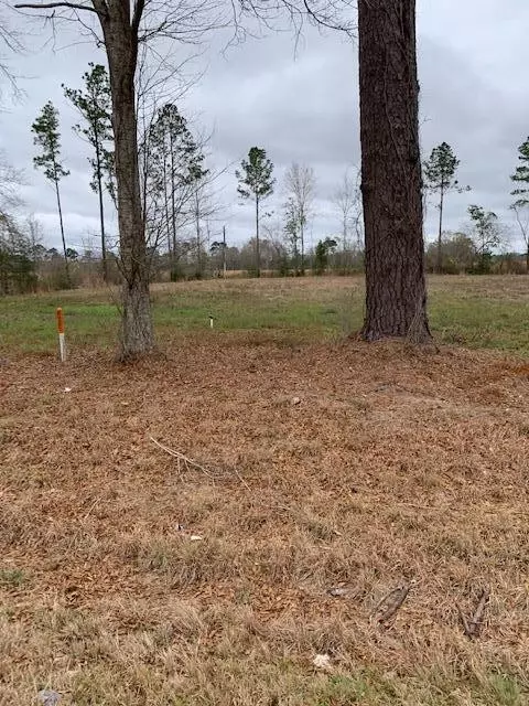 lot1 Hwy 24, Centreville, MS 39631