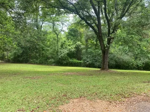 290 Morgantown Rd, Natchez, MS 39120 photo 17