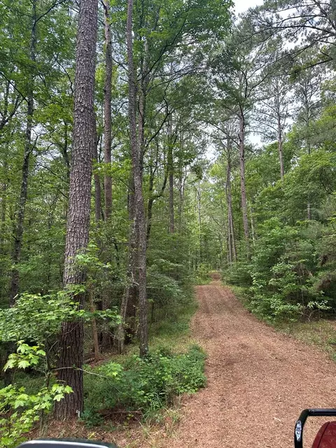 00 Forest Road 170, Crosby, MS 39633