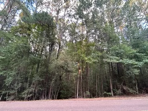 0 W Homochitto Rd, Gloster, MS 39638 photo 8