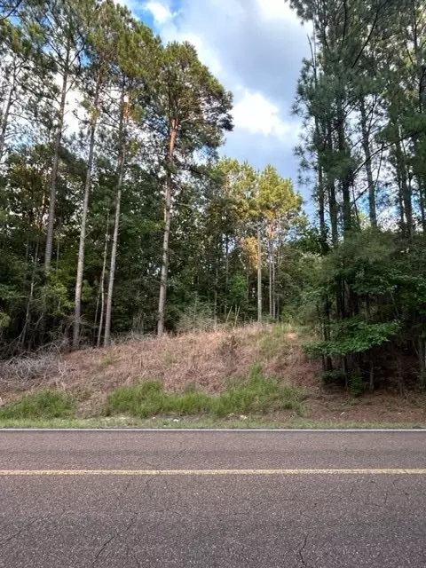 0 W Homochitto Rd, Gloster, MS 39638 photo 4