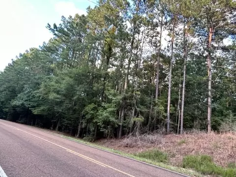 0 W Homochitto Rd, Gloster, MS 39638 photo 3