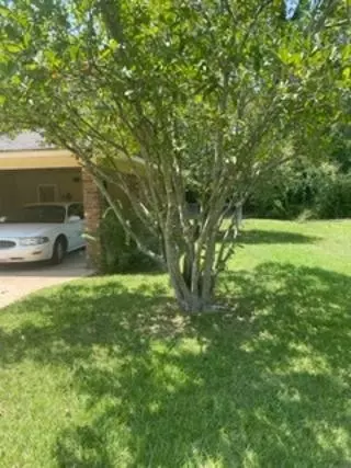 312 Live Oak Dr, Natchez, MS 39120 photo 3