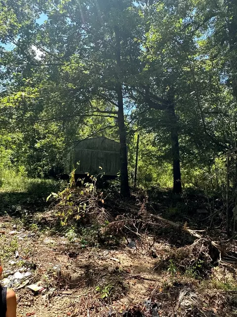 397 Cranfield, Roxie, MS 39661 photo 4