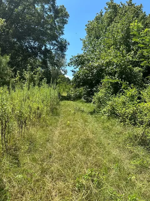 397 Cranfield, Roxie, MS 39661 photo 7