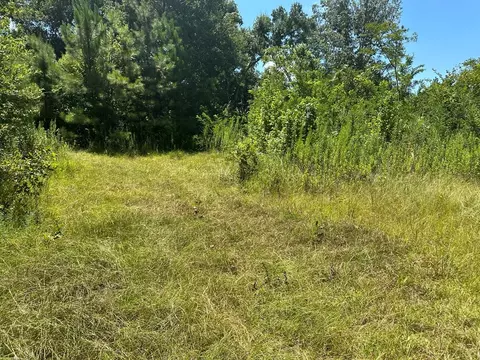 397 Cranfield, Roxie, MS 39661 photo 3